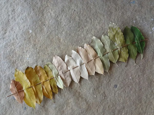 img of How Data Maturity Shapes the Role of a Data Engineer