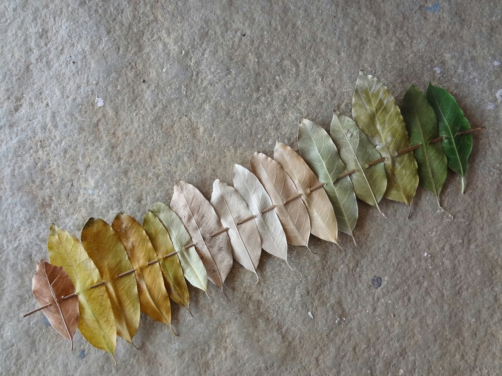 img of How Data Maturity Shapes the Role of a Data Engineer